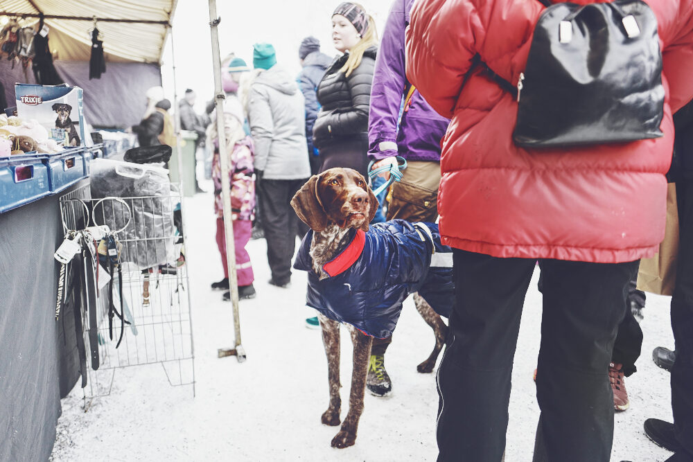 Schweden Winterurlaub Jokkmokk Samen Markt Reiseblog Testbericht 