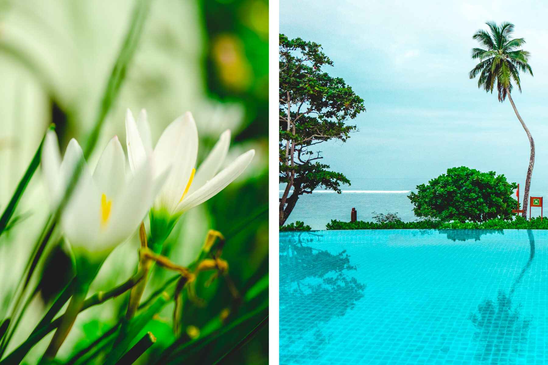 freiseindesign-outdoorblog-seychellen-direktflug-collage-68-8864818