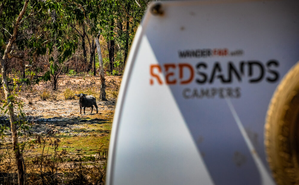 kakadu-national-park-norther-territory-australien-roadtrip-redsandscampers-blog-freiseindesign-0547-7452136
