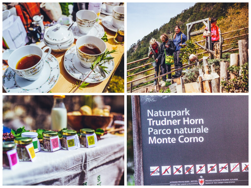 sudtirol-balance-erlebnis-truden-im-naturpark-lupinen-kaffee-6762773
