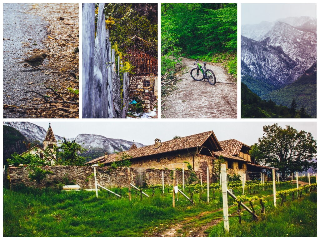 sudtirol-balance-erlebnis-urlaub-fahrradtour-2757283