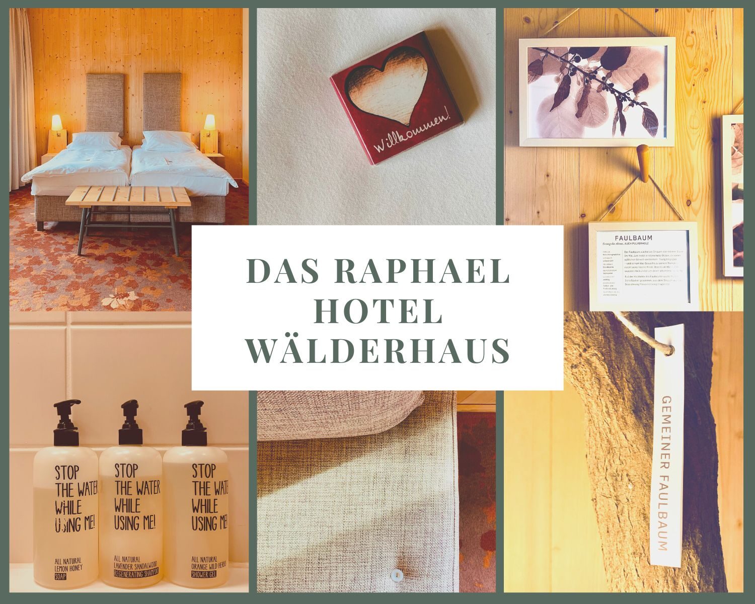 das-raphael-hotel-waelderhaus-zimmer-faulbeerbaum-2620754